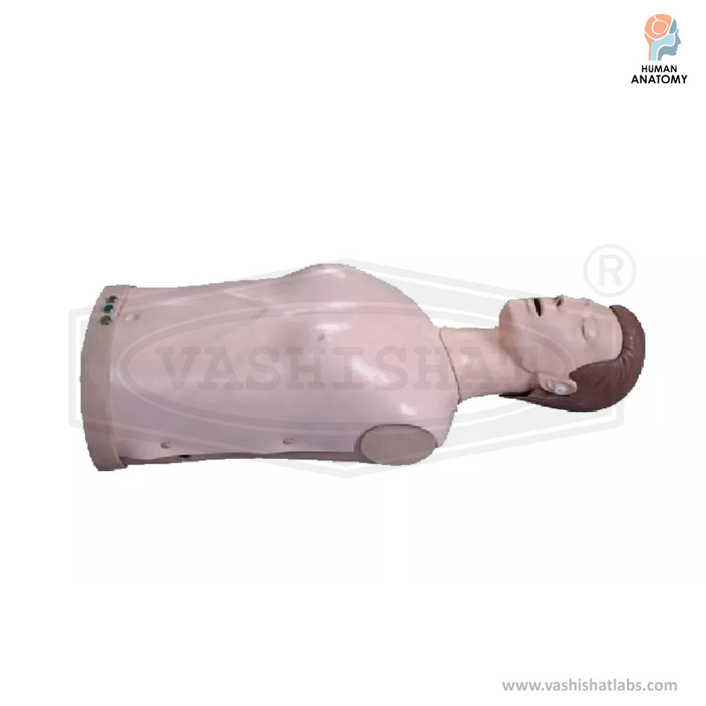 Half Body CPR Training Manikin 